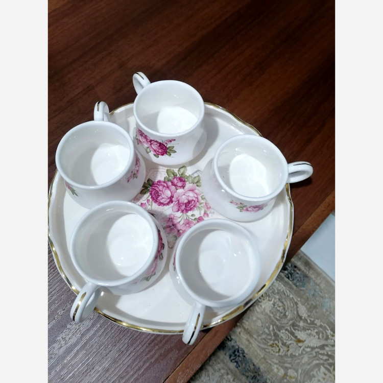 سرویس پذیرایی الیزه